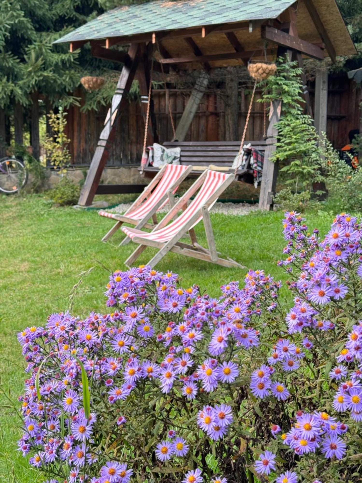 Cottage Lavanda Окремий Котедж З Каміном Буковель Экстерьер фото